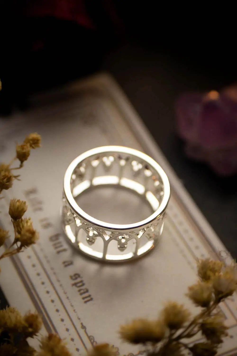 Bague Arches Angéliques en acier inoxydable lunamanashop