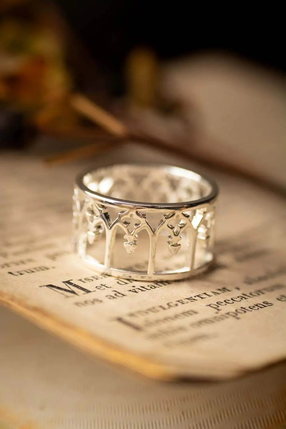 Bague Arches Angéliques en acier inoxydable lunamanashop